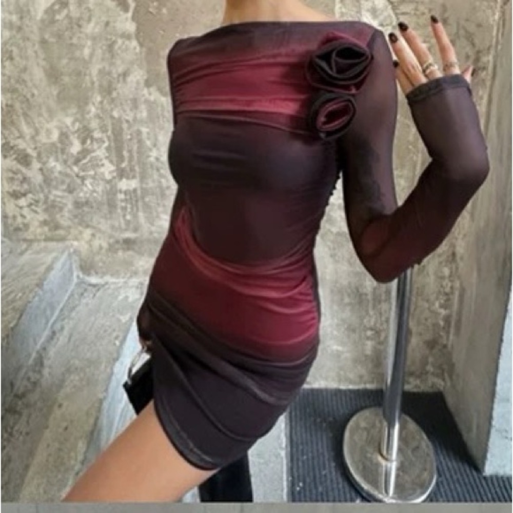 Burgundy Long Sleeve Mesh Bodycon Dress